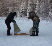 Охота на кабана декабрь 2009 год. (Челябинская область)