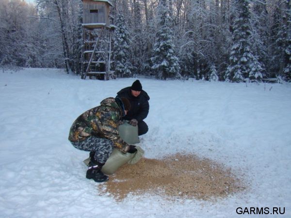 Охота на кабана декабрь 2009 год. (Челябинская область)