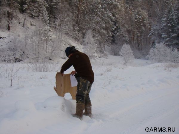 Охота на кабана декабрь 2009 год. (Челябинская область)