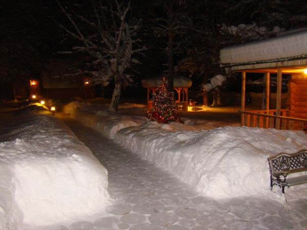 Охота на зайца январь 2010 г. (Челябинская область)