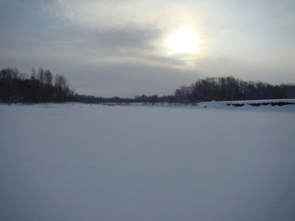 Охота на зайца январь 2010 г. (Челябинская область)