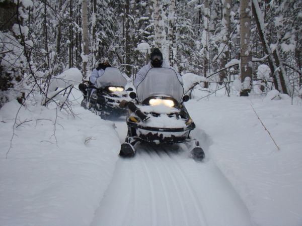 Охота на зайца январь 2010 г. (Челябинская область)