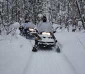 Охота на зайца январь 2010 г. (Челябинская область)