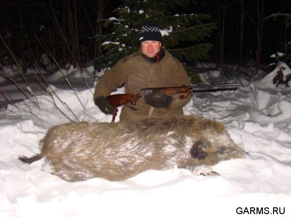 Охота на кабана и зайца  январь 2010 г. (Челябинская область)