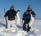 Охота на кабана и зайца  январь 2010 г. (Челябинская область)