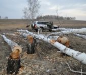 Охота на глухаря апрель 2010 г. (Курганская область)