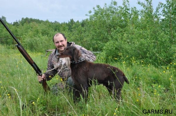 Охота на фазана июнь 2010 года (Свердловская область)