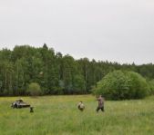 Охота на фазана июнь 2010 года (Свердловская область)