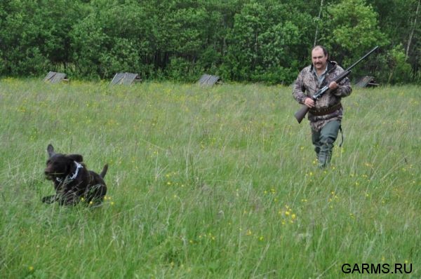 Охота на фазана июнь 2010 года (Свердловская область)