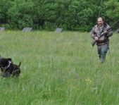 Охота на фазана июнь 2010 года (Свердловская область)