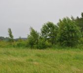 Охота на фазана июнь 2010 года (Свердловская область)