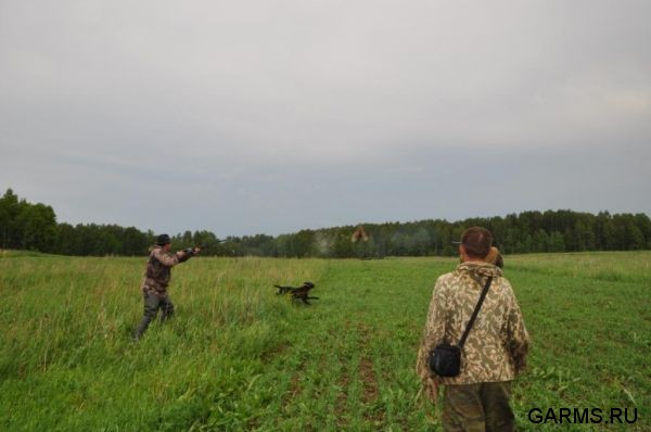 Охота на фазана июнь 2010 года (Свердловская область)