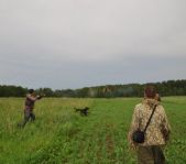 Охота на фазана июнь 2010 года (Свердловская область)