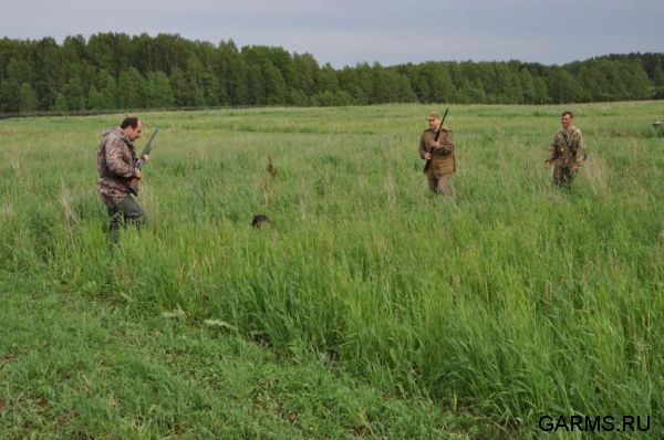 Охота на фазана июнь 2010 года (Свердловская область)