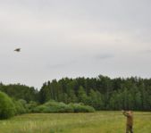 Охота на фазана июнь 2010 года (Свердловская область)