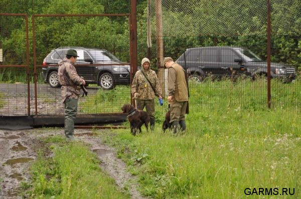 Охота на фазана июнь 2010 года (Свердловская область)