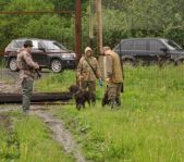 Охота на фазана июнь 2010 года (Свердловская область)