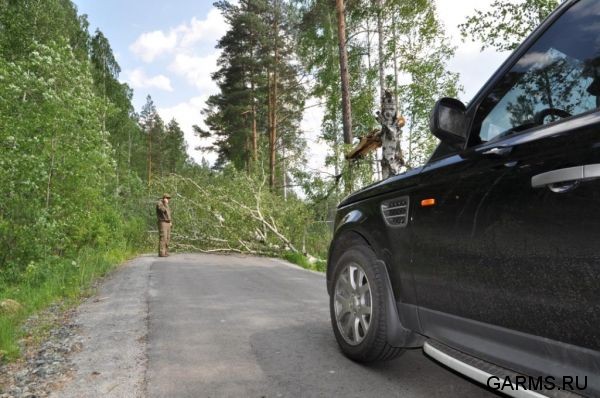 Охота на фазана июнь 2010 года (Свердловская область)