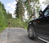 Охота на фазана июнь 2010 года (Свердловская область)