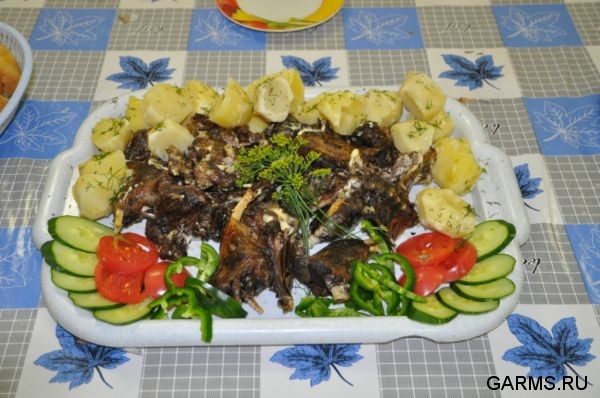 Охота на сурка июль 2010 г. (Оренбургская область)