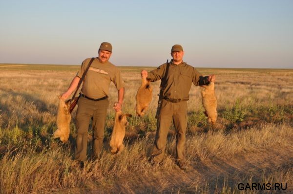 Охота на сурка июль 2010 г. (Оренбургская область)