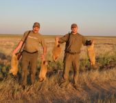 Охота на сурка июль 2010 г. (Оренбургская область)