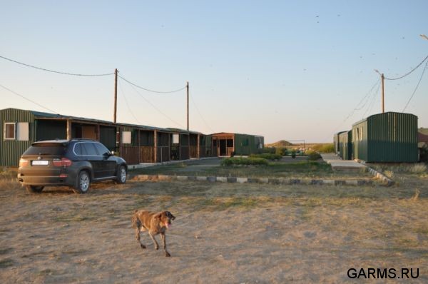 Охота на сурка июль 2010 г. (Оренбургская область)