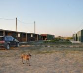 Охота на сурка июль 2010 г. (Оренбургская область)