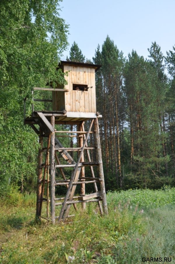 Охота на медведя август 2010 г. (Челябинская область)
