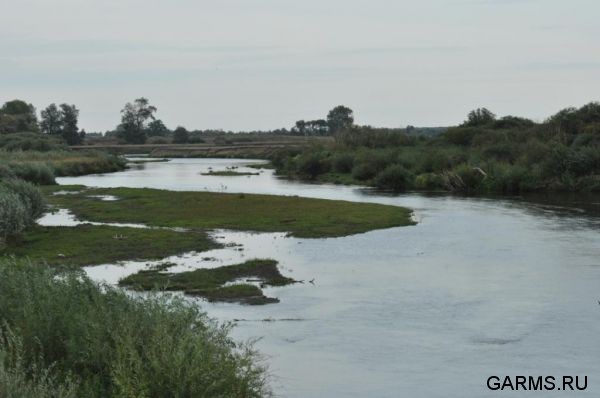 Охота на козла август 2010 г. (Курганская область)