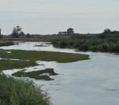 Охота на козла август 2010 г. (Курганская область)