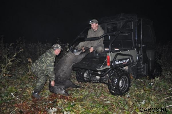 Охота на кабана август 2010 г. (Челябинская область)