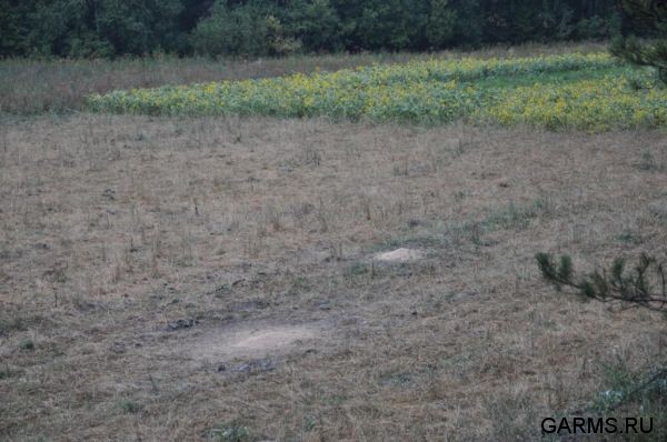 Охота на кабана август 2010 г. (Челябинская область)