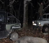 Охота на кабана октябрь 2010 г.(Челябинская область)