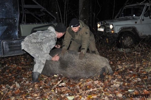 Охота на кабана октябрь 2010 г.(Челябинская область)