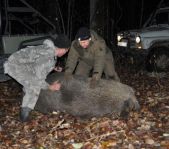Охота на кабана октябрь 2010 г.(Челябинская область)