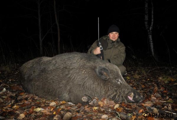 Охота на кабана октябрь 2010 г.(Челябинская область)