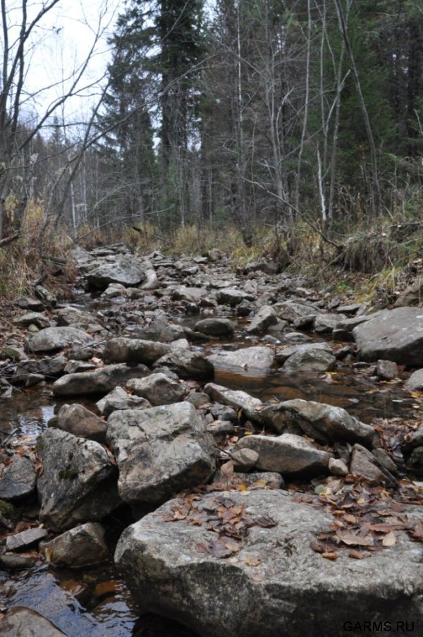 Охота на кабана октябрь 2010 г.(Челябинская область)