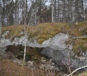 Охота на кабана октябрь 2010 г.(Челябинская область)