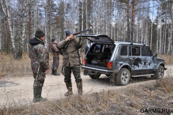 Охота на косулю ноябрь 2010 г. (Челябинская область)