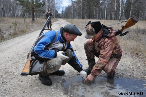 Охота на косулю ноябрь 2010 г. (Челябинская область)