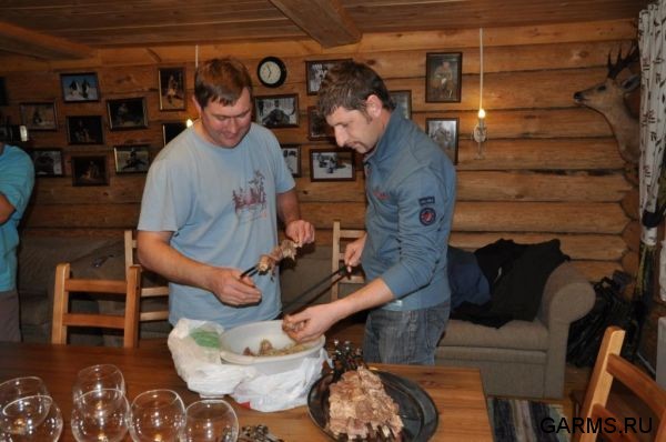 Охота на косулю ноябрь 2010 г. (Челябинская область)