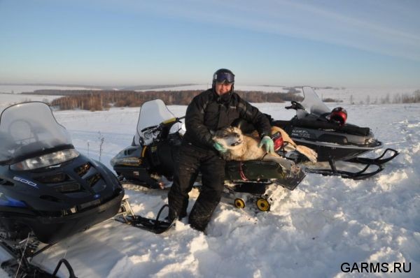 Охота на волка декабрь 2010 г. (Челябинская область)