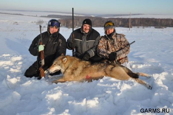 Охота на волка декабрь 2010 г. (Челябинская область)