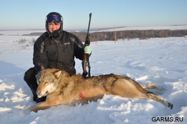 Охота на волка декабрь 2010 г. (Челябинская область)