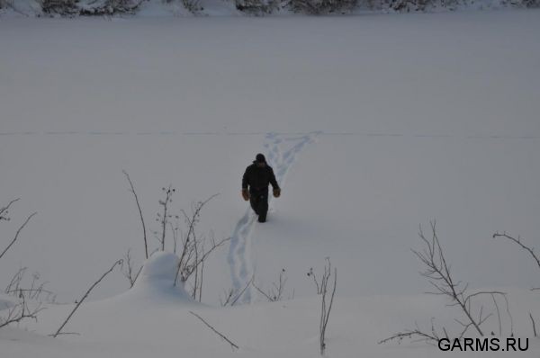 Охота на волка декабрь 2010 г. (Челябинская область)
