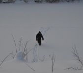 Охота на волка декабрь 2010 г. (Челябинская область)