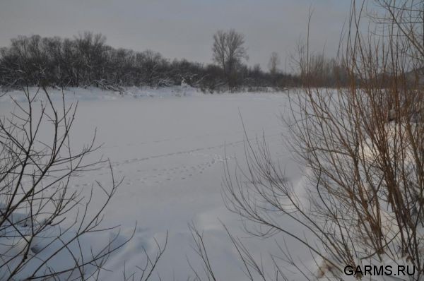 Охота на волка декабрь 2010 г. (Челябинская область)