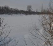 Охота на волка декабрь 2010 г. (Челябинская область)