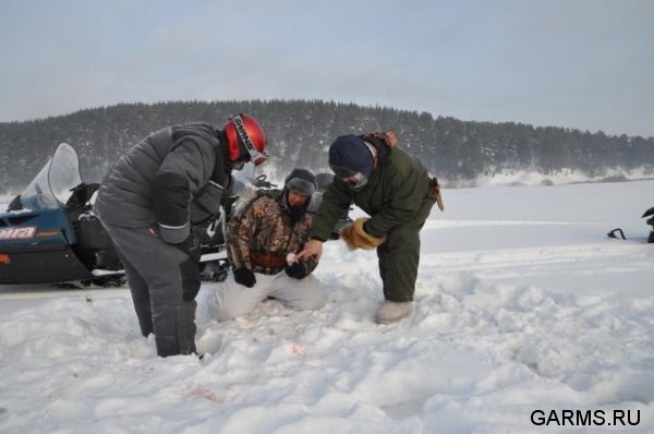 Охота на волка декабрь 2010 г. (Челябинская область)